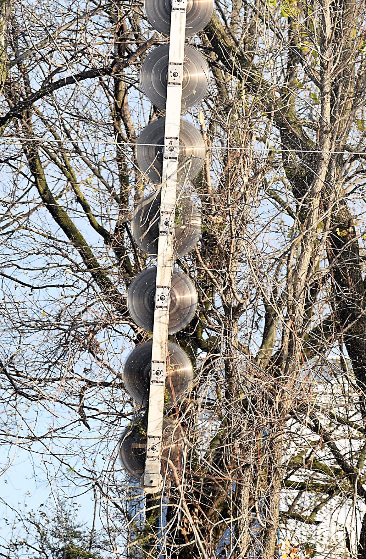 Helicopter tree trimming 5